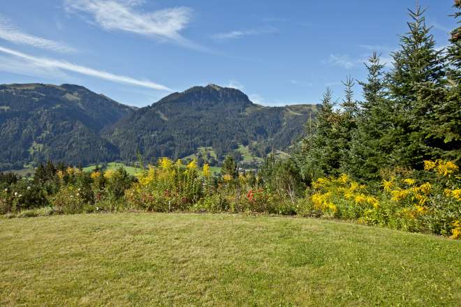 Traumgrund mit Altbestand am Sonnberg